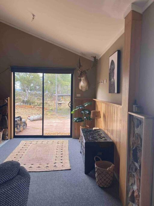 Great Lakes Wilderness Three Bedroom Home Miena Esterno foto