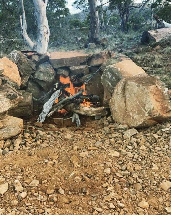 Great Lakes Wilderness Three Bedroom Home Miena Esterno foto